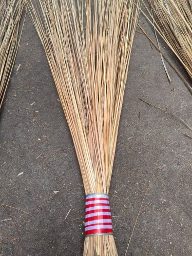 Coconut Broom 40 Inch, Brand Name : Gnt, Packaging Type : Brown