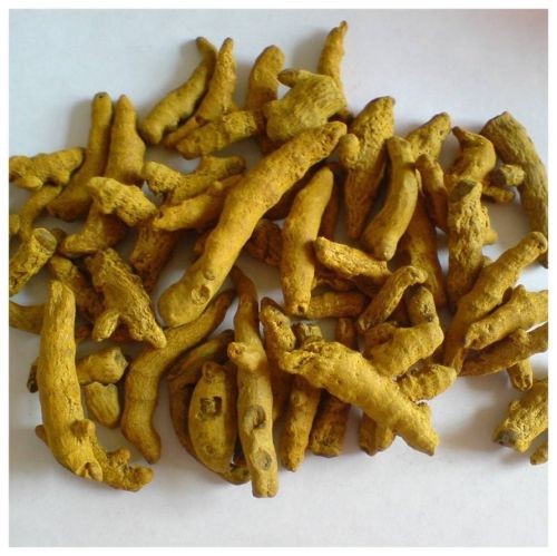 Natural Turmeric Finger, Packaging Size : 5-25kg Food Grade