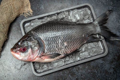 Katla Fish, Packaging Type : Thermocol Box for Cooking