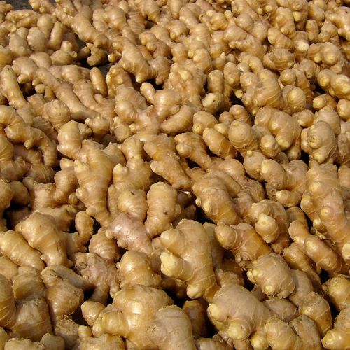 Natural Fresh Ginger
