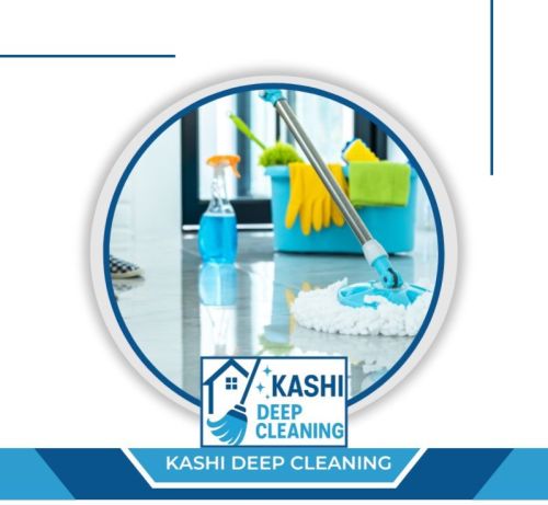 Pest Control Services