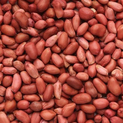 Bold Peanuts, Color : Brown, Purity : 90%