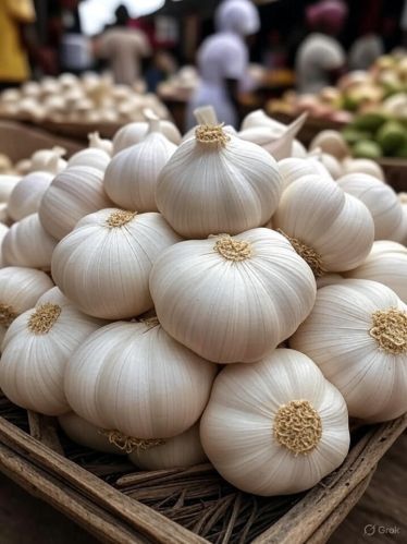 Garlic, Number Of Flower : Vegetable