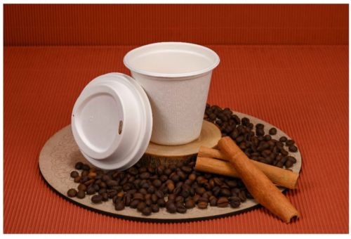 Biodegradable Cup Lid