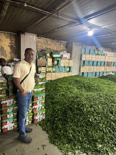 Organic Green Chilli for Food, Pickles