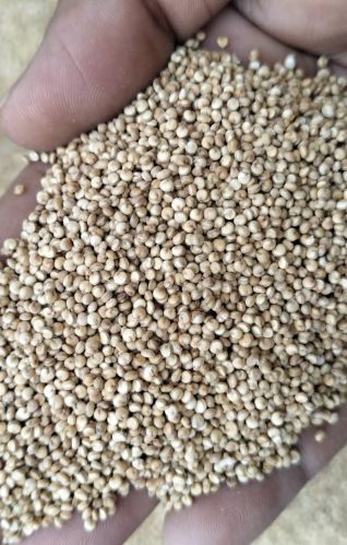 Opelion Natural White Quinoa, Packaging Size : 1Kg, 25kg 10%