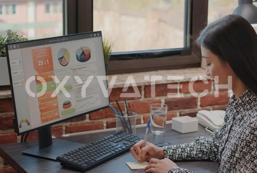 Website Audit Service