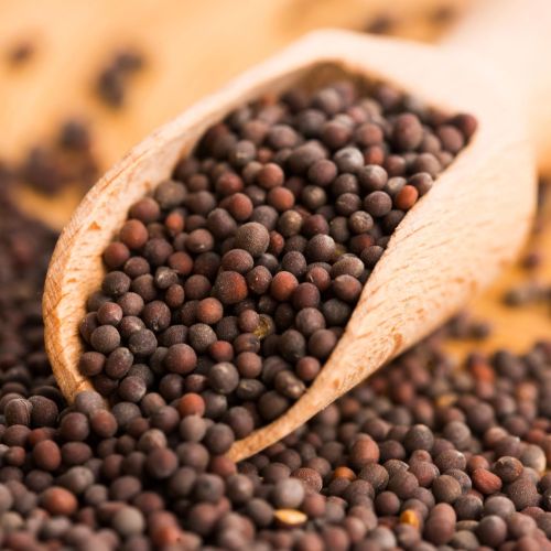 Natural Black Mustard Seeds, Packaging Size : 25Kg, 50Kg, 10Kg