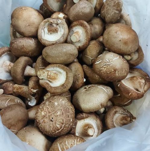 Natural Shiitake Mushroom, Color : Brown
