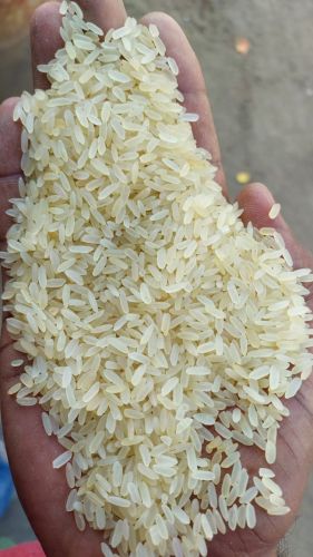 Short Grain White Basmati Rice, Packaging Size : 25-50kg for Cooking