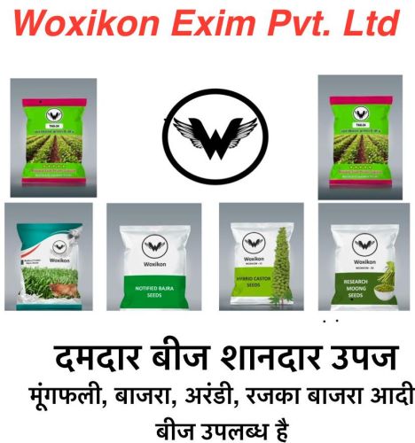 Natural Hybrid Bajra Seed for Agriculture