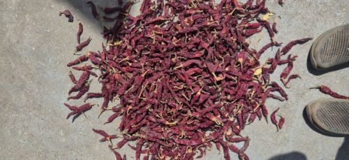 Organic Dry Red Chilli, Packaging Size : 50g Food Grade