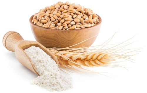 Wheat Seeds, Color : Brown, Packaging Type : Bulk Bags