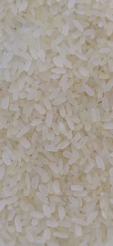 Tiger Common Non Basmati Rice, Color : Creamy White