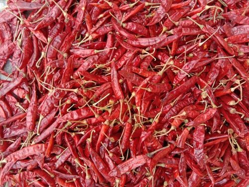 S4 Sannam Red Chilli