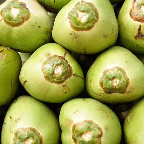 Frozen Tender Coconut Water