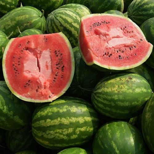 Frozen Watermelon Juice, Color : Pinkish Red