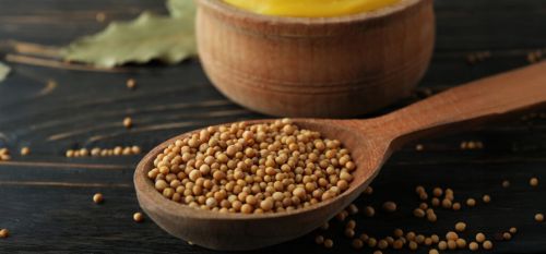 Sinapis Alba Plant Yellow Mustard