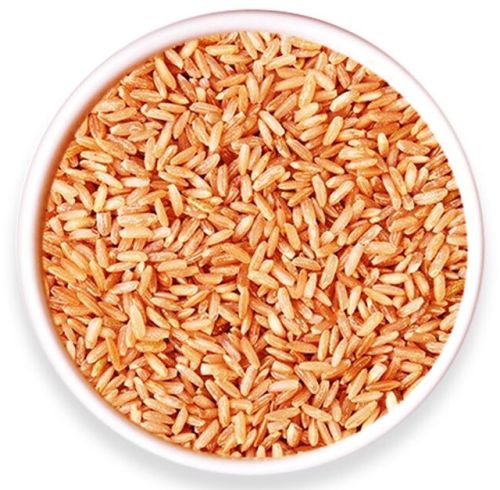 Brown Rice, Packaging Type : Bag Or Bulk for Cooking, Baking