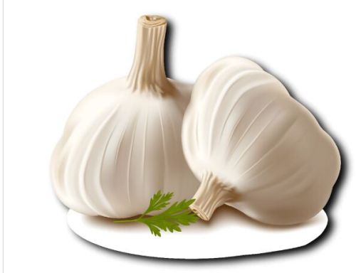 Garlic, Color : White