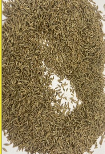 Akash Cumin Seeds, Color : Light Brown