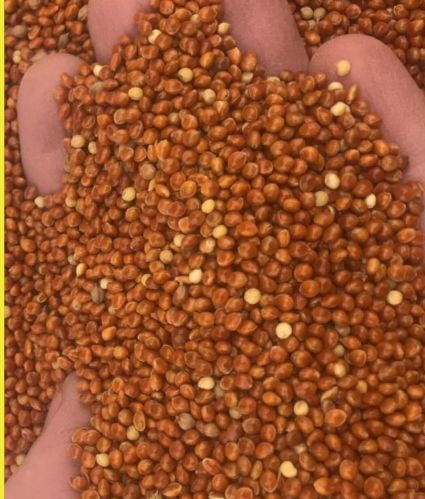 Akash Red Millet, Color : Reddish-brown for Used To Make Porridge