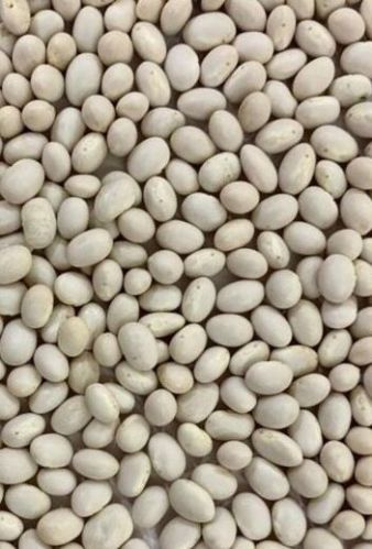Creamy Samad White Pea Beans
