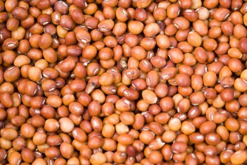 Red Pigeon Peas, Packaging Type : Usually Comes In Bags Or Bulk