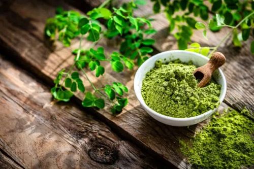 Moringa Powder, Weight : 100 Grams