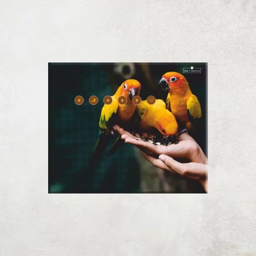 Iot Touch Switch Wifi Smart Home Automation