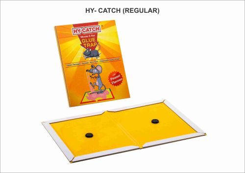 Regular Cardboard Rat Glue Trap, Brand Name : Hy -catch (Regular)