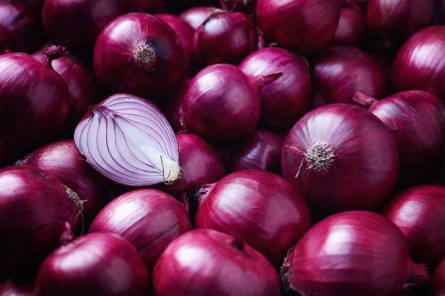A Grade Fresh Red Onion, Speciality : Rich In Taste, Healthy