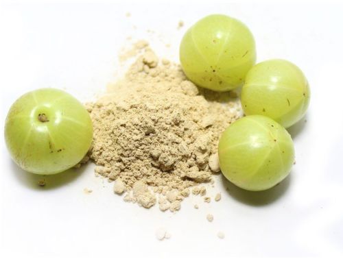 Amla Extract Powder, Color : Light Brown