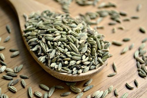 Green Natural Fennel Seeds, Grade Standard : Food Grade