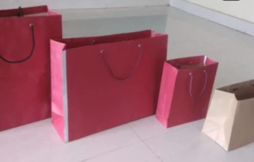 Fancy Printed Paper Bag