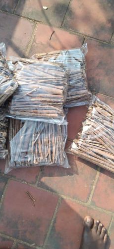 Agriculture Peepal Tree Sticks, Color : Brown