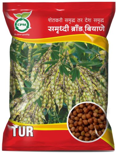 Organic ICPL-87 Arhar Seeds, For Agriculture, Style : Dried