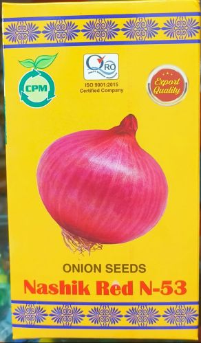 N-53 Nashik Red Onion Seeds for Agriculture