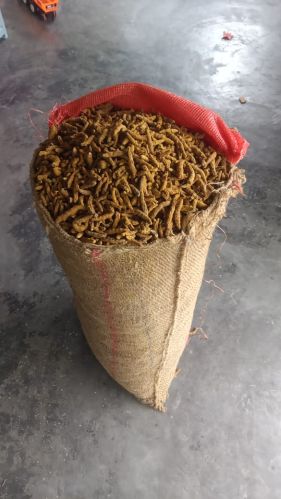 Organic Smooth Dried Turmeric Finger, Color : Yellow, Form : Whole