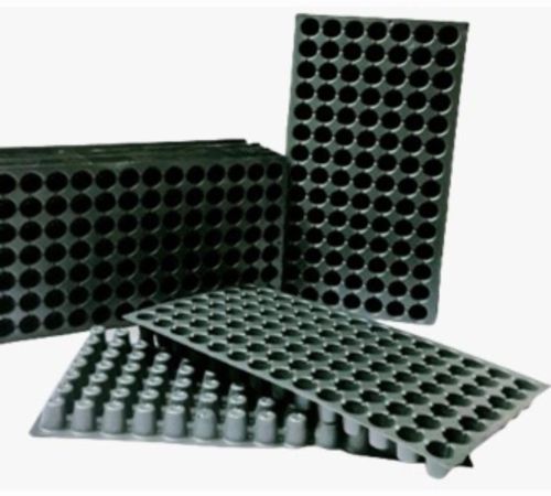 Plain Durability HDPE 98 Cavity Seedling Tray, Color : Black