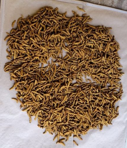 Kasam Organic Turmeric Finger, Grade Standard : Food Grade