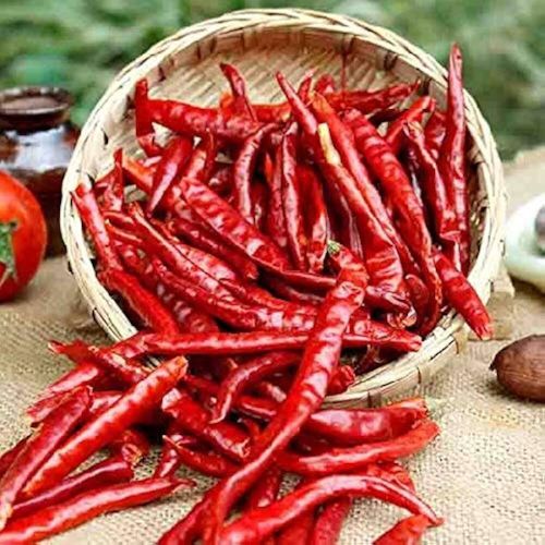 Js Organic Stem Less Chilli, Color : Dark-red Dried