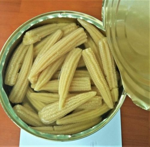 A Grade Canned Baby Corn for Cooking