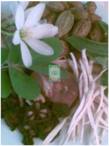 Raw Botanical Products