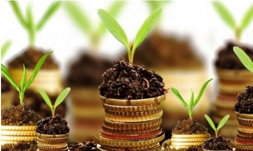 Agro Financial Management Advisory Services