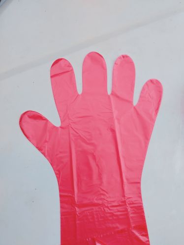Polypropylene Veterinary Gloves XL, Brand Name : Madhavi