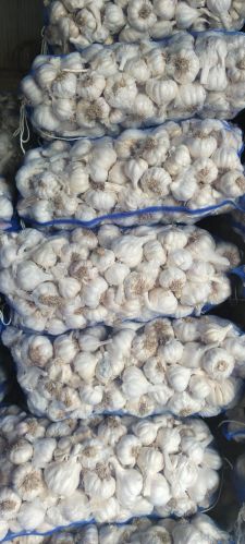 Organic Fresh Garlic, Color : Creamy for Cooking