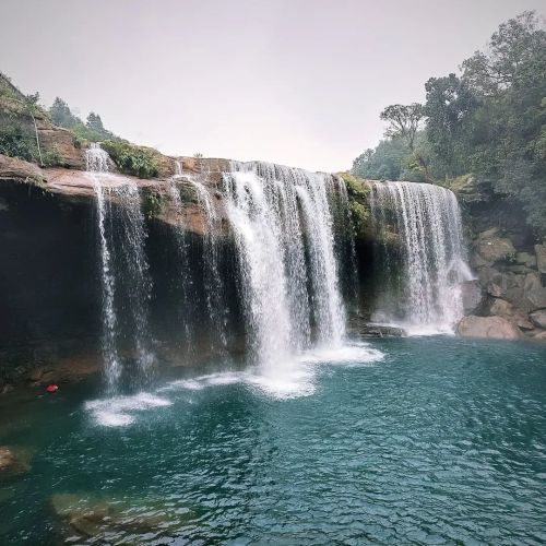 Tour And Travel For Domestic