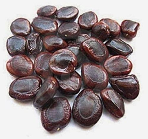 Brown Organic Tamarind Seeds, Seed Type : Natural Food Grade