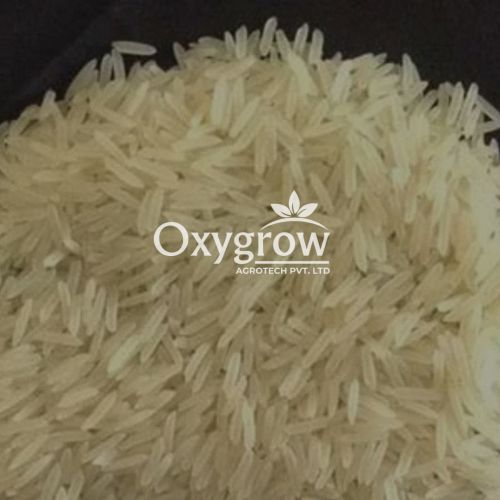 Organic 1509 Creamy Sella Basmati Rice, Variety : Long Grain